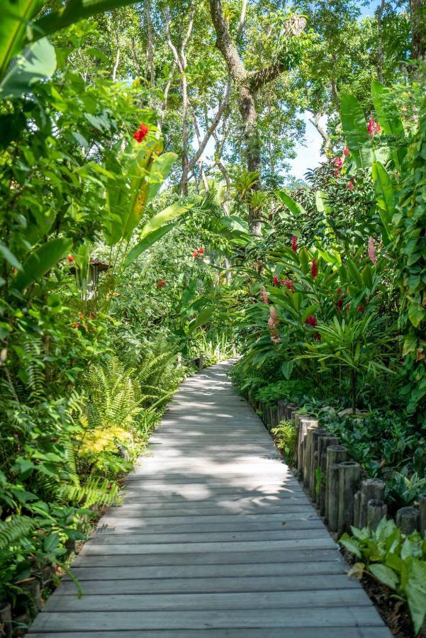 Pousada Do Bosque Porto Seguro Ngoại thất bức ảnh